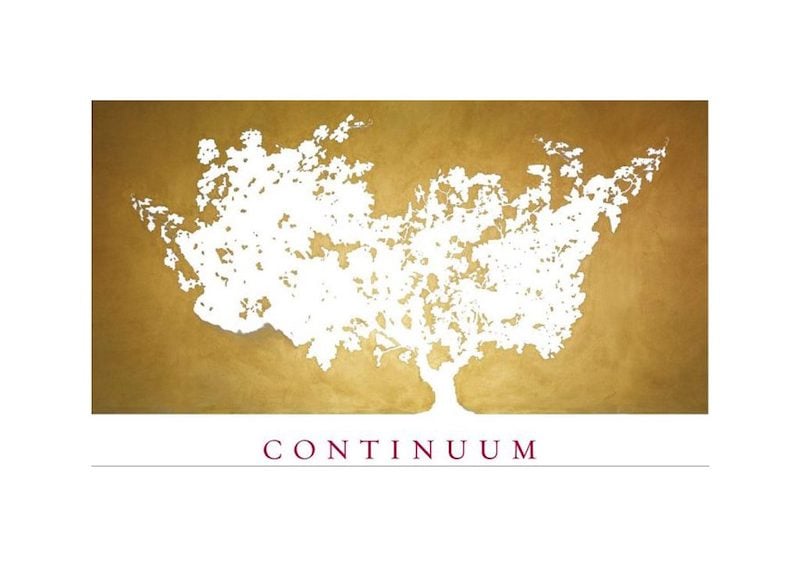 Continuum Logo