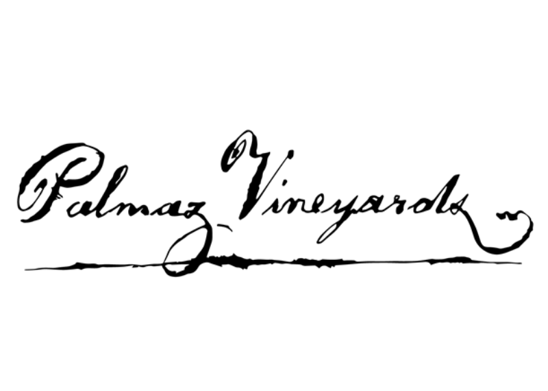Palmaz Logo