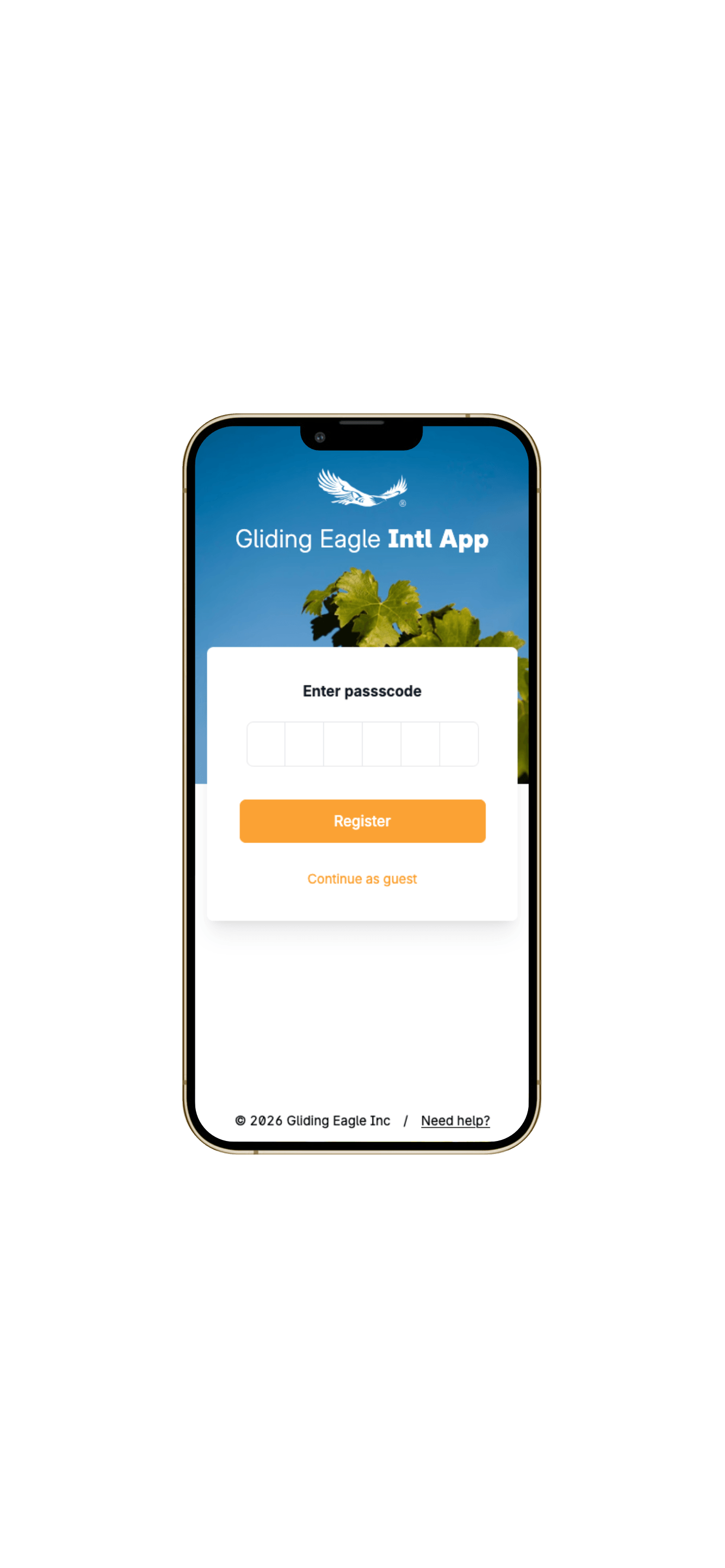 Intl App order details and document upload step